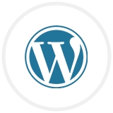 WordPress Development