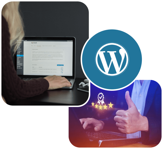 top WordPress development agency