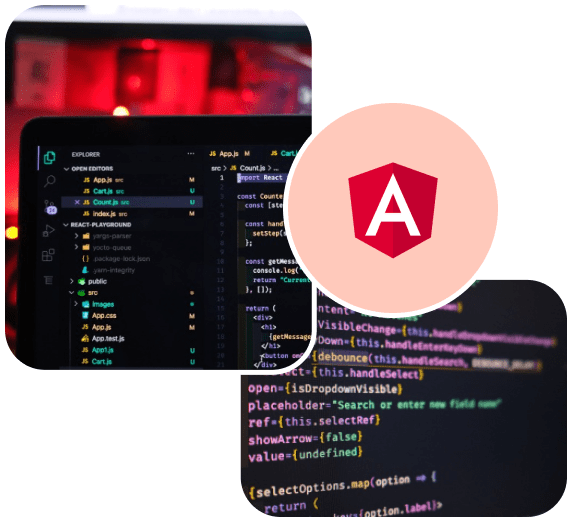 AngularJS Web Development Services