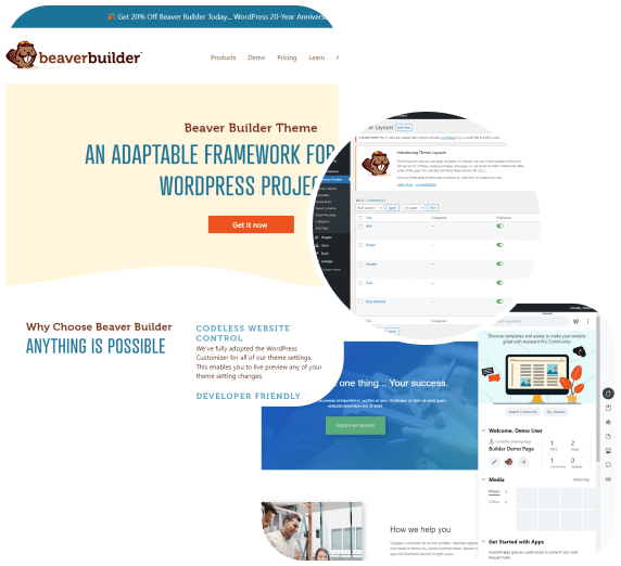 Beaver builder development agency