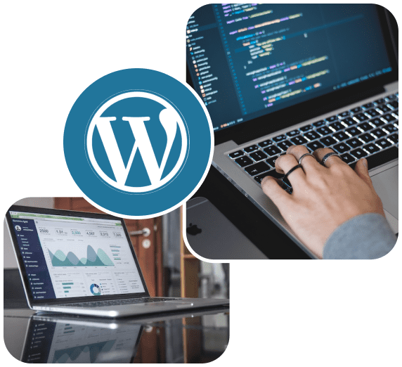 Custom WordPress development Services agency