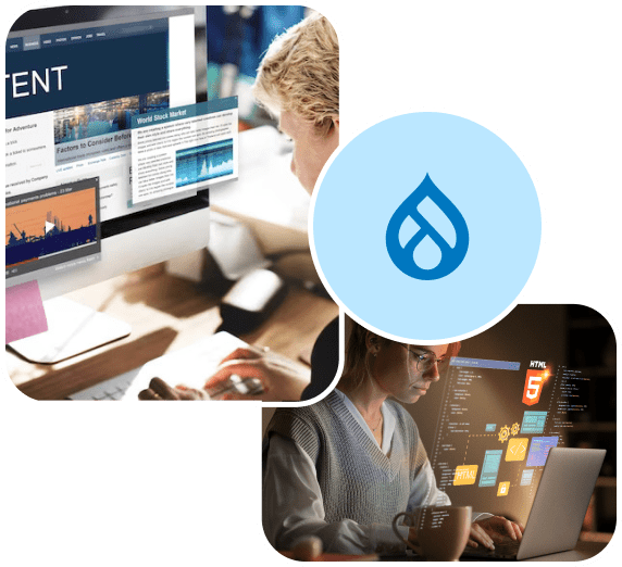 Drupal Development Services