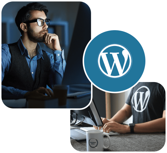 Hire Dedicated WordPress Developers In India