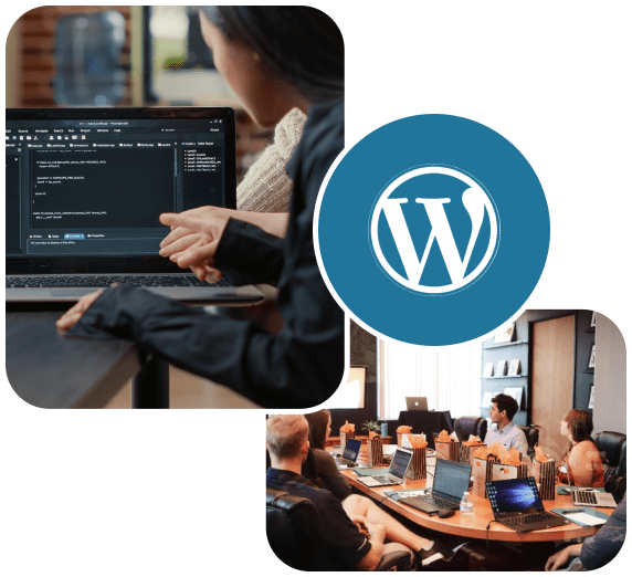 white label wordpress development agency