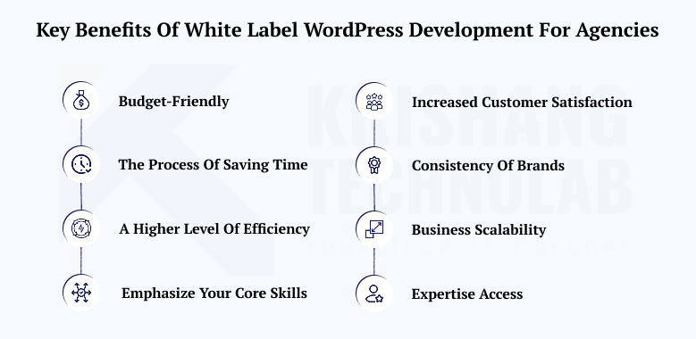Key Benefits of White Label WordPress Development for Digital Agencies