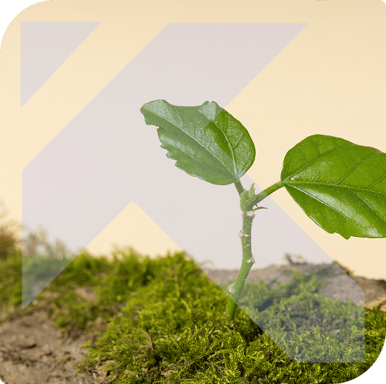 AgTech Industry AgTech Industry