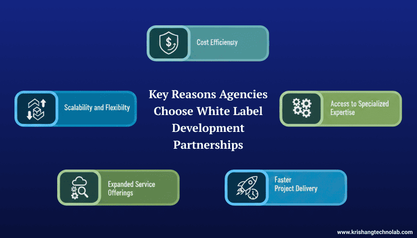 Key Reasons Agencies Choose White Label Development Partnerships