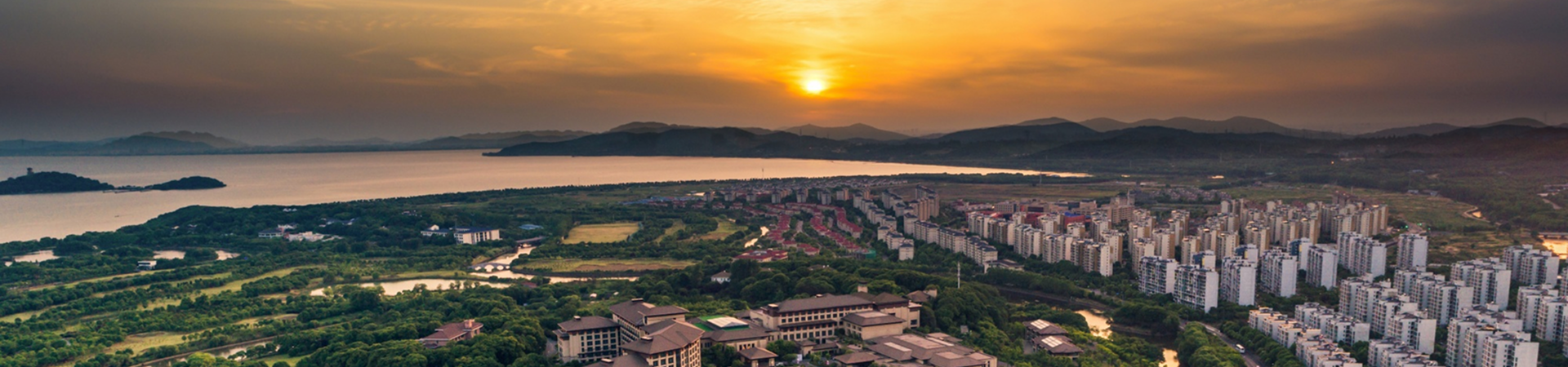 Estateeiq banner
