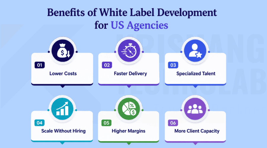 Benefits of White Label Development for US Agencies