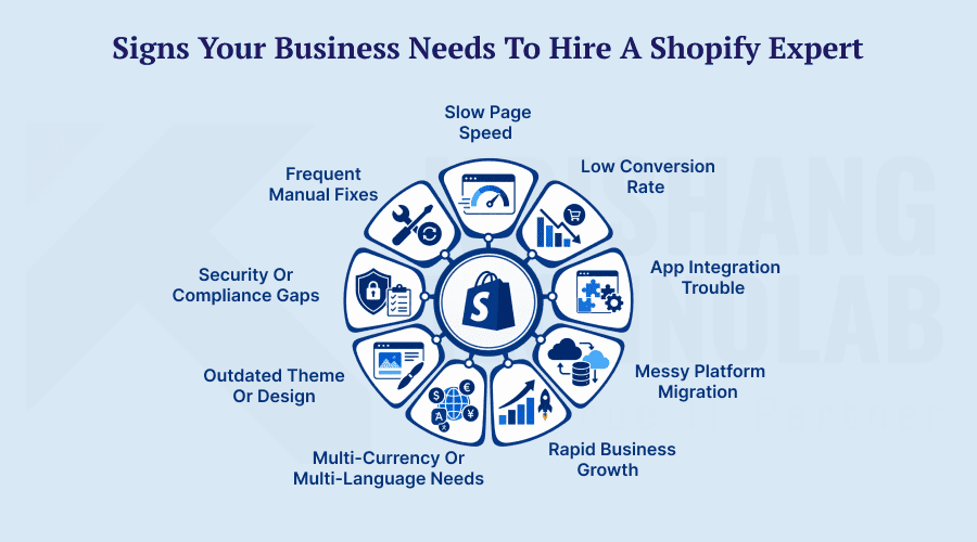 Signs Business Needs to Hire a Shopify Expert